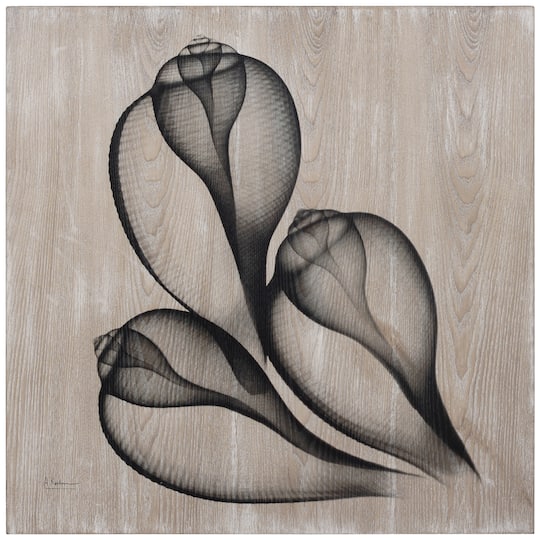 Empire Art Direct Frassino De Arte Legno 24" x 24" Coastal Serenity II Printed Hand Finished Ash Wood Wall Art